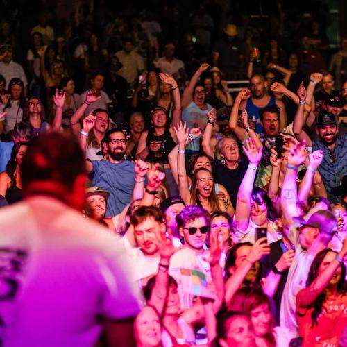 excited crowd at concert